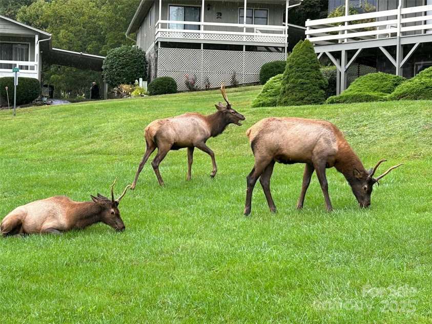 10 Onyx Lane, Maggie Valley, NC 28751.  MLS# CAR4208739, YatesRealty ID 6745. 