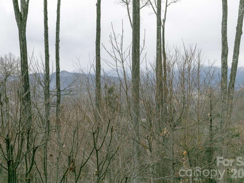528 Andrew Banks Road, Burnsville, NC 28714.  MLS# CAR4357866, YatesRealty ID 6773. 