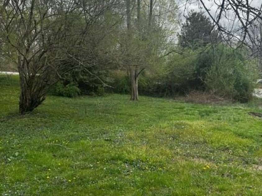 103 Gragg Street, Black Mountain, NC 28711.  MLS# CAR4243480, YatesRealty ID 6775. Front Yard