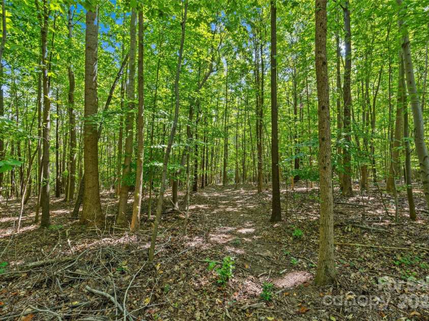 5621 Mount Olive Church Road, Charlotte, NC 28278.  MLS# CAR4205330, YatesRealty ID 6788. 