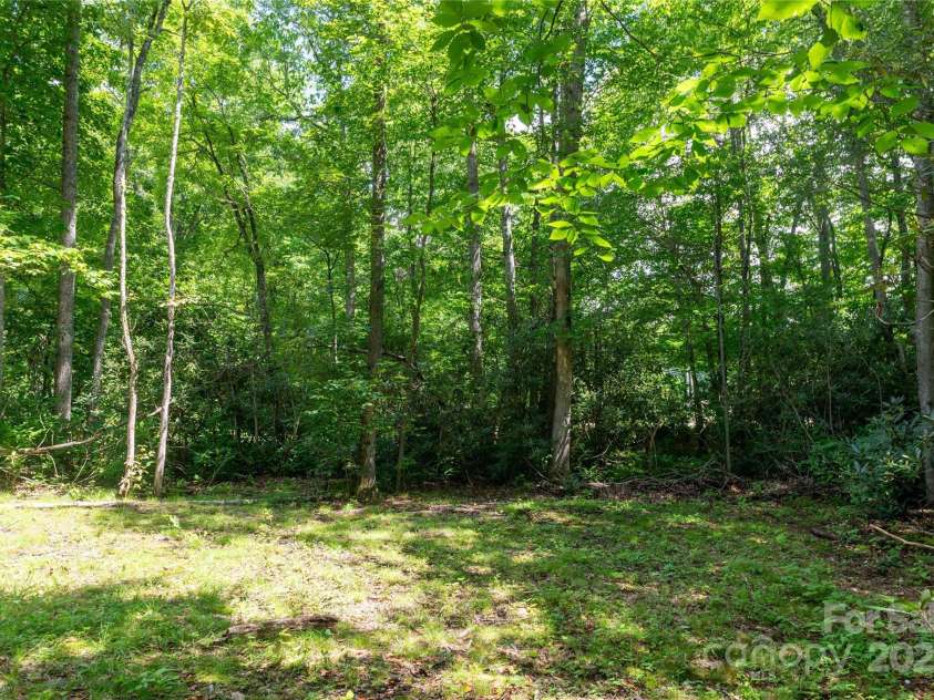 245 White Oak Creek Road, Burnsville, NC 28714.  MLS# CAR4319314, YatesRealty ID 679. 