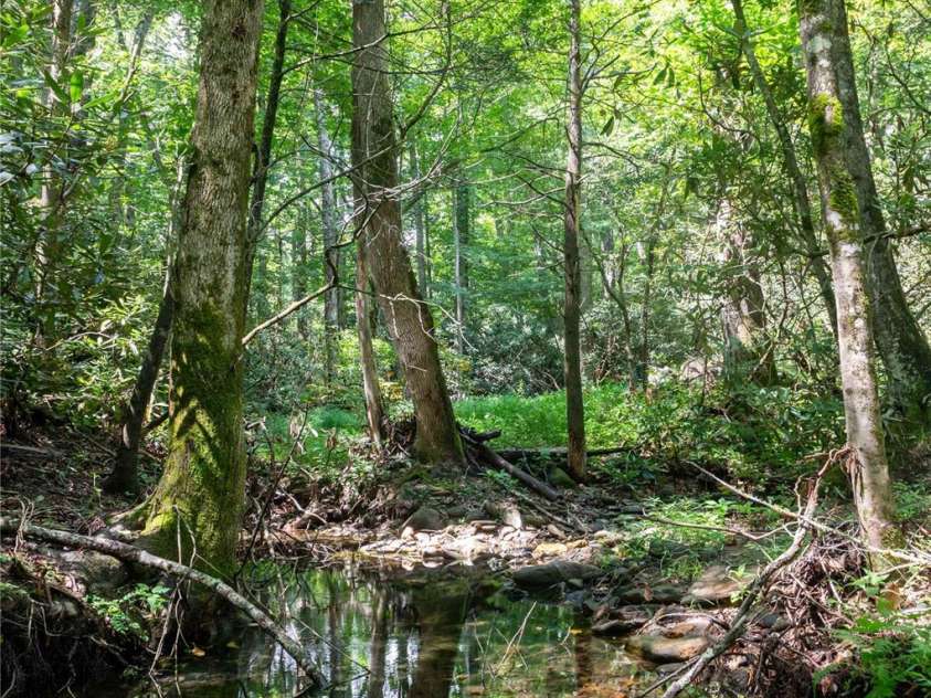 245 White Oak Creek Road, Burnsville, NC 28714.  MLS# CAR4319314, YatesRealty ID 679. 