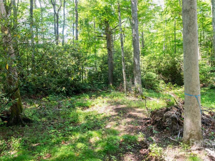 245 White Oak Creek Road, Burnsville, NC 28714.  MLS# CAR4319314, YatesRealty ID 679. 