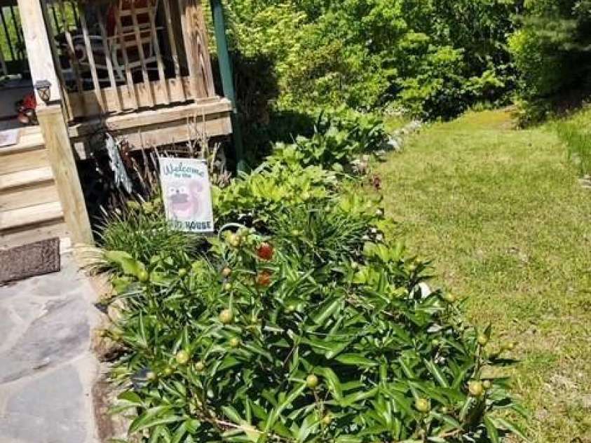 612 Old Home Place Road, Tuckasegee, NC 28783.  MLS# CAR4300096, YatesRealty ID 681. Landscaping