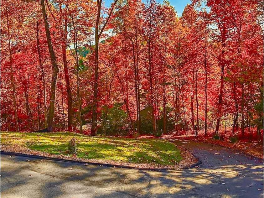 151 Unoga Court, Brevard, NC 28712.  MLS# CAR4279300, YatesRealty ID 6841. Fall View