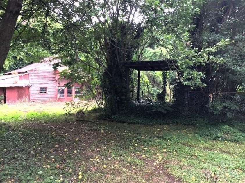 6000 Main Street, Salisbury, NC 28147.  MLS# CAR4248591, YatesRealty ID 6845. THERE IS A COVERED GAZEBO UNDER THE VINES THAT COULD BROUGHT BACK TO LIFE
