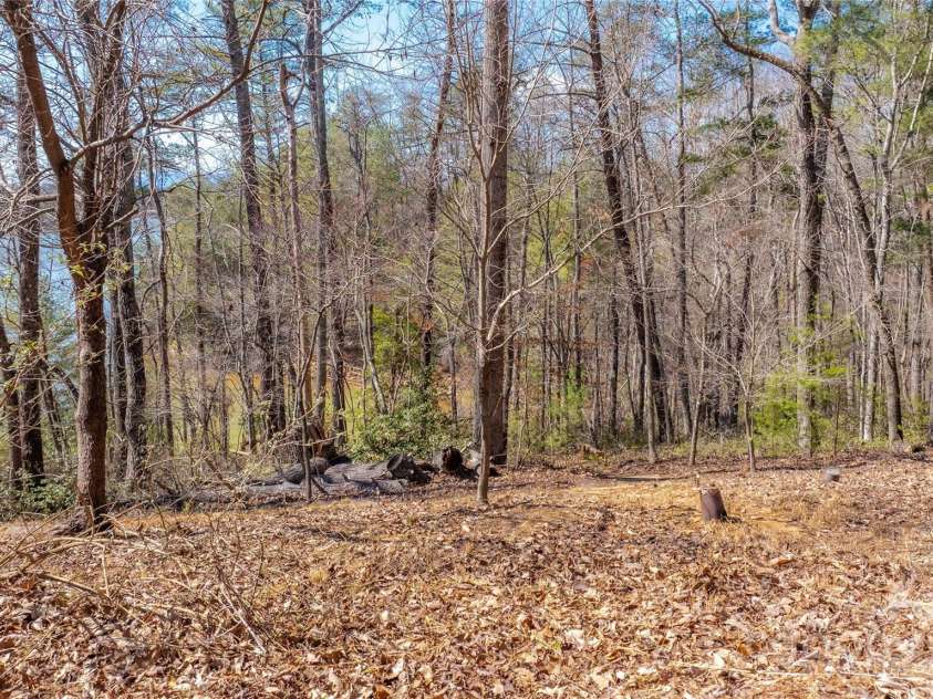 2199 Yellow Fork Trail, Nebo, NC 28761.  MLS# CAR4231987, YatesRealty ID 6858. More views