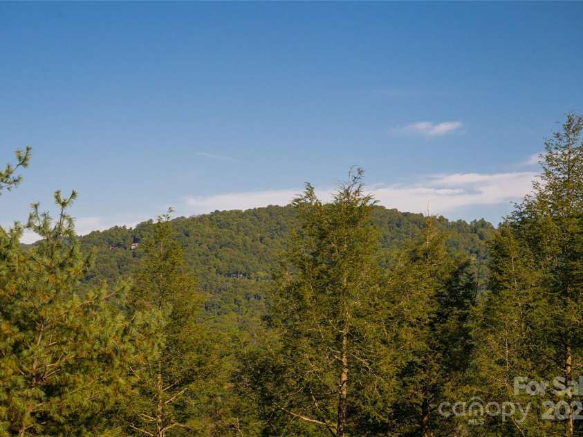 79 Horizon Hill Road, Asheville, NC 28804.  MLS# CAR4306563, YatesRealty ID 687. View North