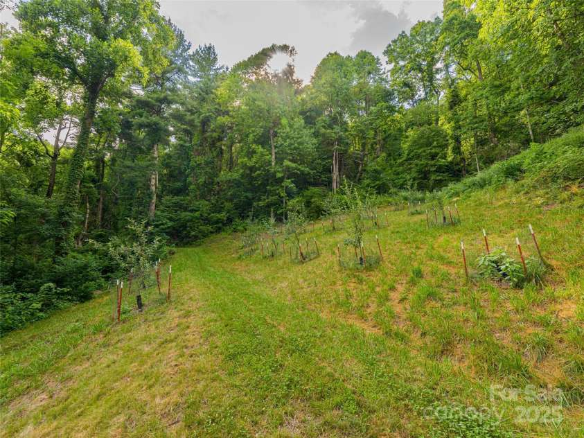 130 Bluff Creek Terrace, Candler, NC 28715.  MLS# CAR4278515, YatesRealty ID 6884. 