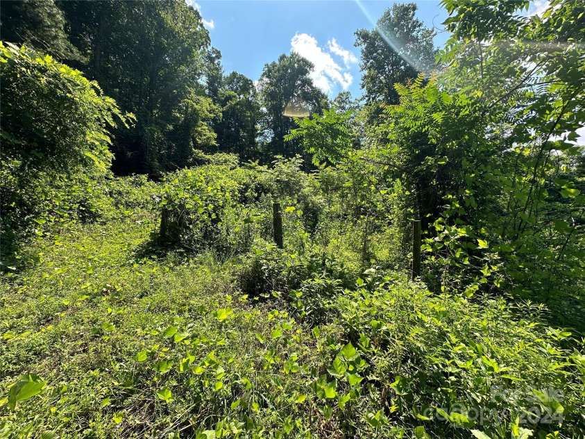 556 Blue Hill Road, Marshall, NC 28753.  MLS# CAR4154163, YatesRealty ID 6887. Old goat pasture can be reclaimed