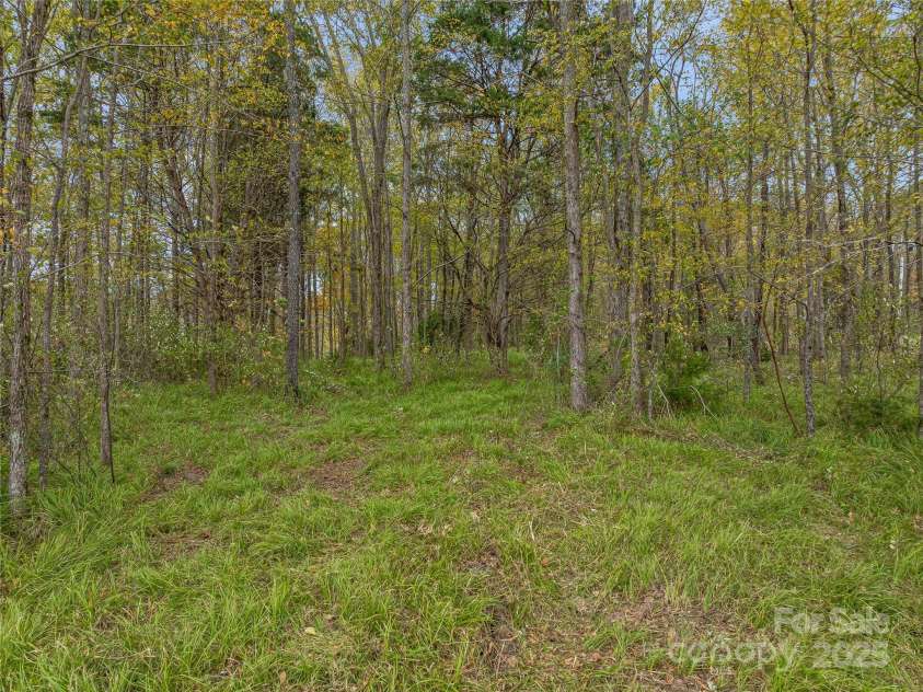 1640, 1641, 1642 River Road, Hot Springs, NC 28743.  MLS# CAR4318441, YatesRealty ID 691. Future build sites or campground