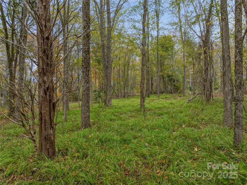 1640, 1641, 1642 River Road, Hot Springs, NC 28743.  MLS# CAR4318441, YatesRealty ID 691. Future build sites or campground