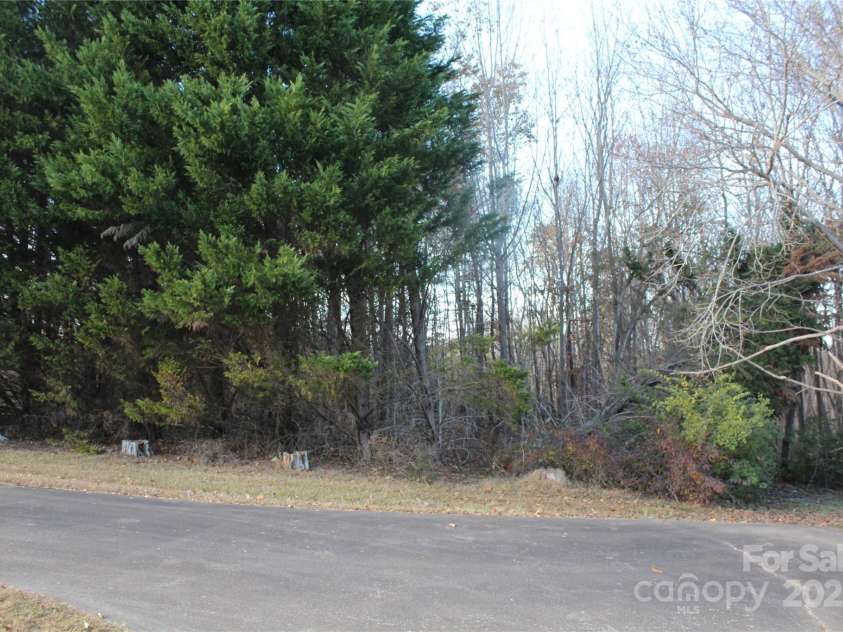 1761 Dearborn Street Extension, Morganton, NC 28655.  MLS# CAR4321224, YatesRealty ID 693. Woods beside house