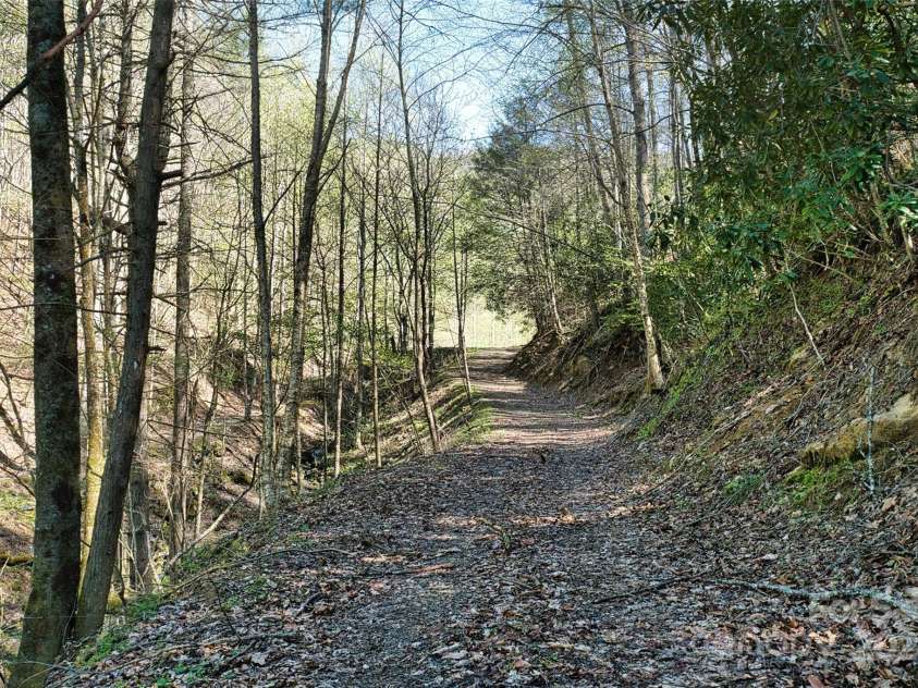2180 Pigeon Roost Road, Green Mountain, NC 28740.  MLS# CAR4137054, YatesRealty ID 693. Looking up the wide road to the pond and hidden meadow