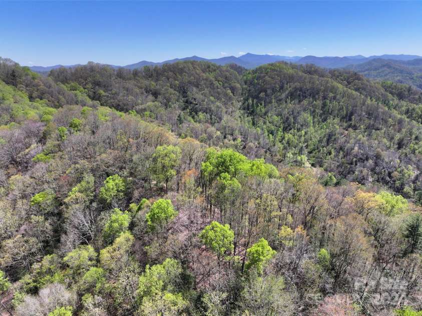 2180 Pigeon Roost Road, Green Mountain, NC 28740.  MLS# CAR4137054, YatesRealty ID 693. Lovely ridgetop land surrounding the hidden meadow