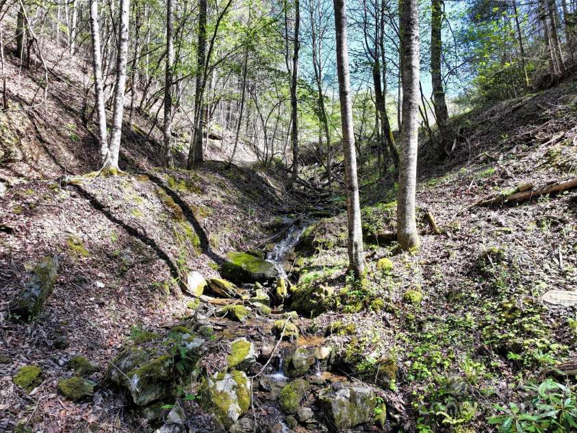 2180 Pigeon Roost Road, Green Mountain, NC 28740.  MLS# CAR4137054, YatesRealty ID 693. Outflow from the springfed pond