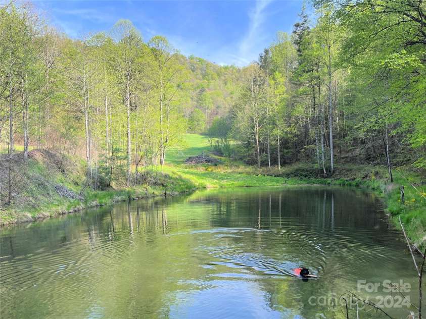 2180 Pigeon Roost Road, Green Mountain, NC 28740.  MLS# CAR4137054, YatesRealty ID 693. The best place ever for a game of 