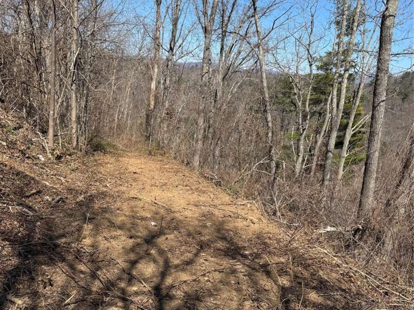 140 Summit Tower Circle, Asheville, NC 28804.  MLS# CAR4304165, YatesRealty ID 694. 