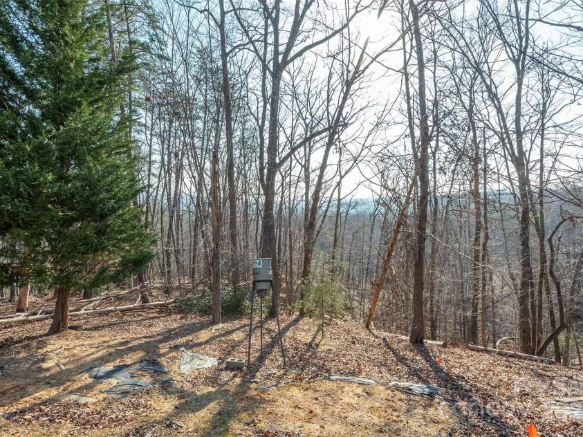 192 Buzzards Place, Lake Lure, NC 28746.  MLS# CAR4235753, YatesRealty ID 6985. Backyard view