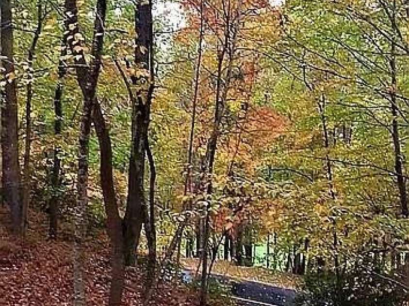 4122 Connestee Trail, Brevard, NC 28712.  MLS# CAR4249240, YatesRealty ID 6988. 