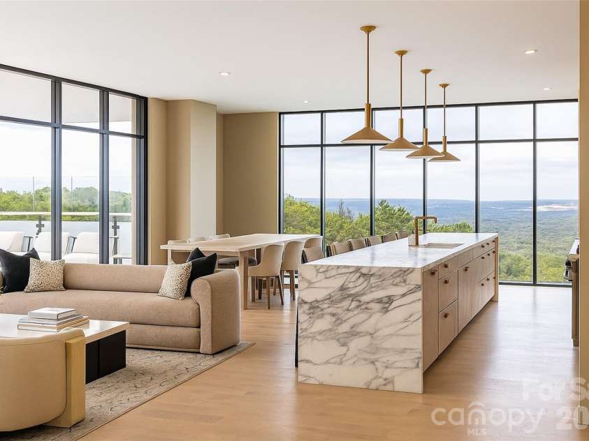 161 Church Street, Asheville, NC 28801.  MLS# CAR4372142, YatesRealty ID 70. Offering views of the City Skyline, Blue Ridge Mountain Ranges, or Downtown Asheville's last remaining Urban Forest