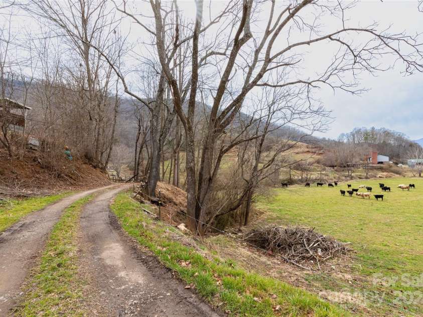 298 Turkey Creek Road, Leicester, NC 28748.  MLS# CAR4112849, YatesRealty ID 700. Access Road