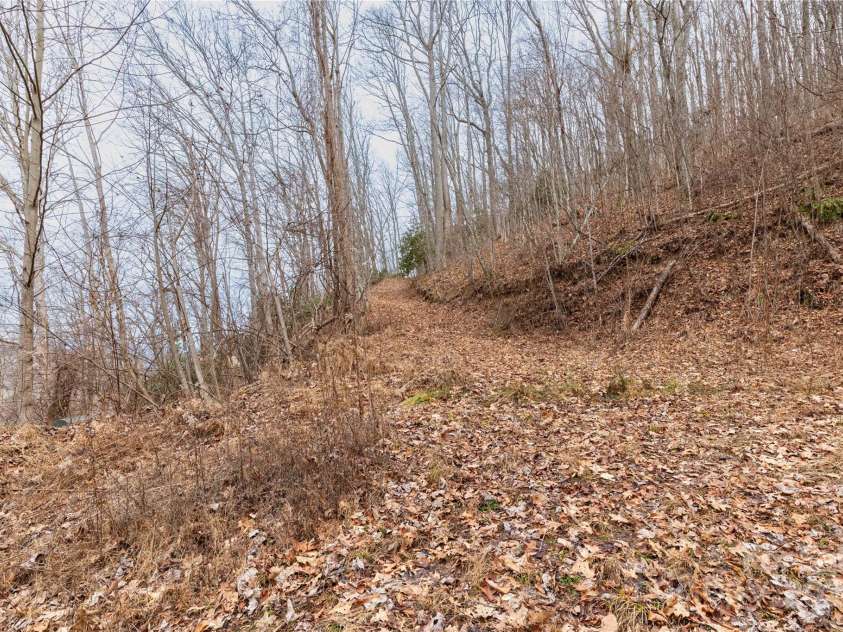 298 Turkey Creek Road, Leicester, NC 28748.  MLS# CAR4112849, YatesRealty ID 700. Trails on Property