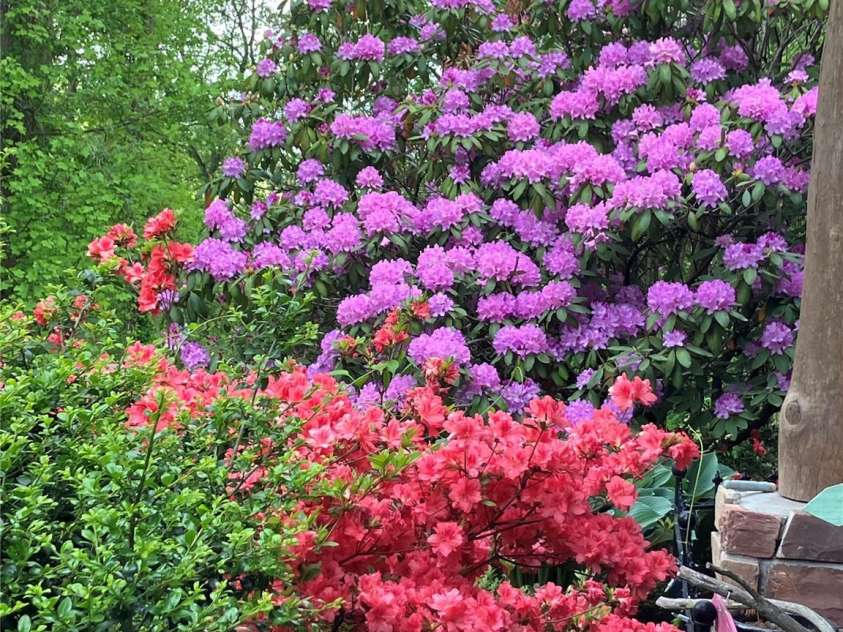 571 Terrys Gap Road, Fletcher, NC 28732.  MLS# CAR4330724, YatesRealty ID 702. Yard in bloom!