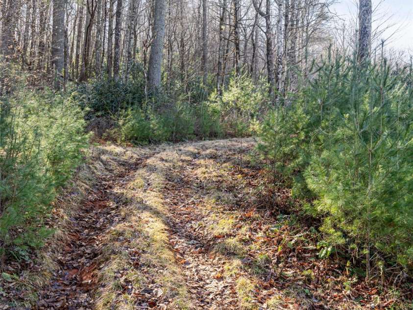 315 Garren Creek Road, Brevard, NC 28712.  MLS# CAR4106629, YatesRealty ID 706. 