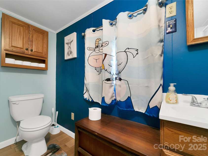 626 Fairview Loop, Hot Springs, NC 28743.  MLS# CAR4302454, YatesRealty ID 706. The rear bedroom suite has its own large roomy bathroom with plenty of space to move around in. Also adorned with cute goats at every turn!