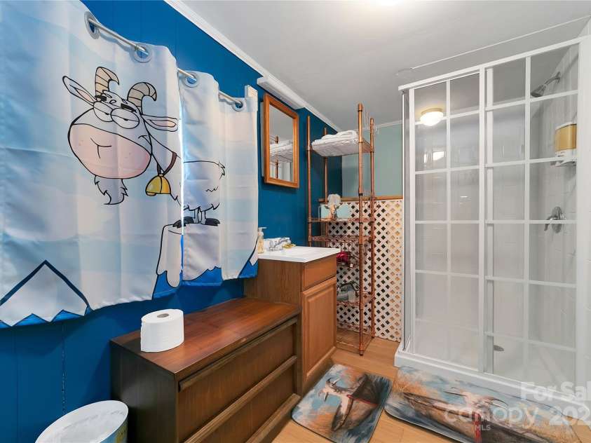 626 Fairview Loop, Hot Springs, NC 28743.  MLS# CAR4302454, YatesRealty ID 706. The rear bedroom suite has its own large roomy bathroom with plenty of space to move around in. Also adorned with cute goats at every turn!