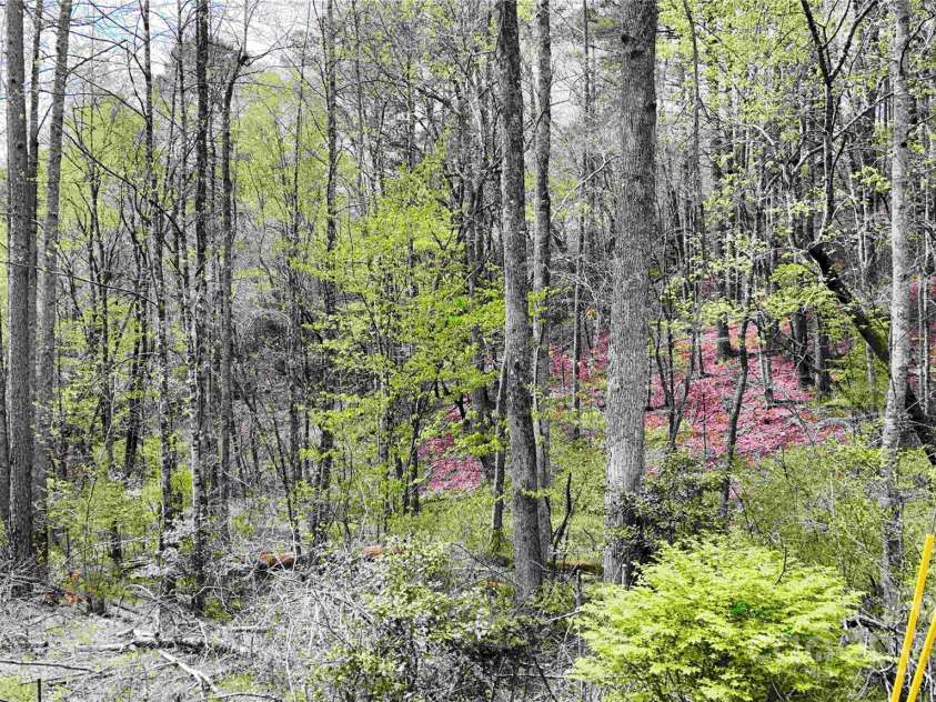 53 Dead End Trail, Marble, NC 28905.  MLS# CAR4242590, YatesRealty ID 7083. 