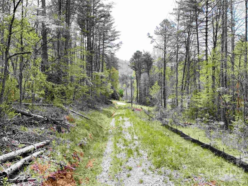 53 Dead End Trail, Marble, NC 28905.  MLS# CAR4242590, YatesRealty ID 7083. 