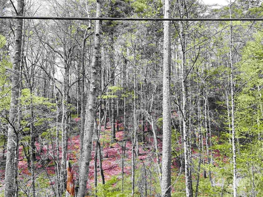 53 Dead End Trail, Marble, NC 28905.  MLS# CAR4242590, YatesRealty ID 7083. 