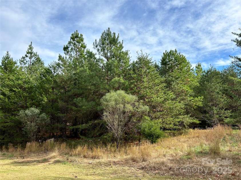 14108 Rhone Valley Drive, Charlotte, NC 28278.  MLS# CAR4211907, YatesRealty ID 709. Plenty of space for a pool