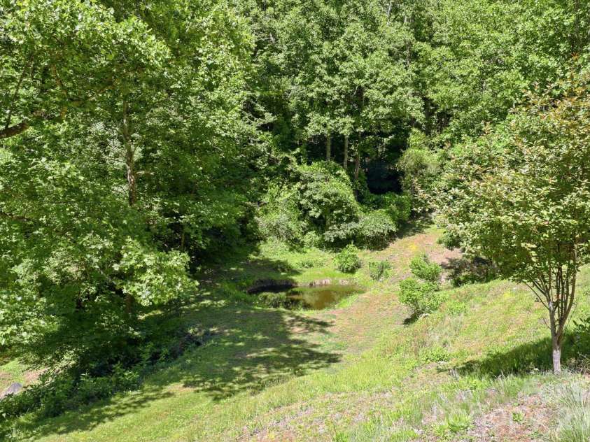 337 Roberson School Road, Moravian Falls, NC 28654.  MLS# CAR4241276, YatesRealty ID 7160. 
