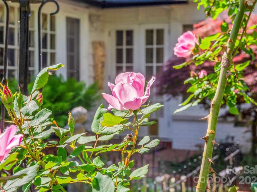 429 Ridgecrest Avenue, Rutherfordton, NC 28139.  MLS# CAR4095608, YatesRealty ID 7160. 