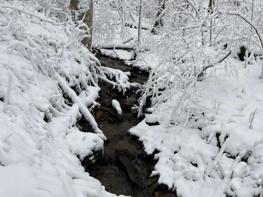 340 Wendy Avenue, Marshall, NC 28753.  MLS# CAR4210108, YatesRealty ID 7191. Creek in winter!