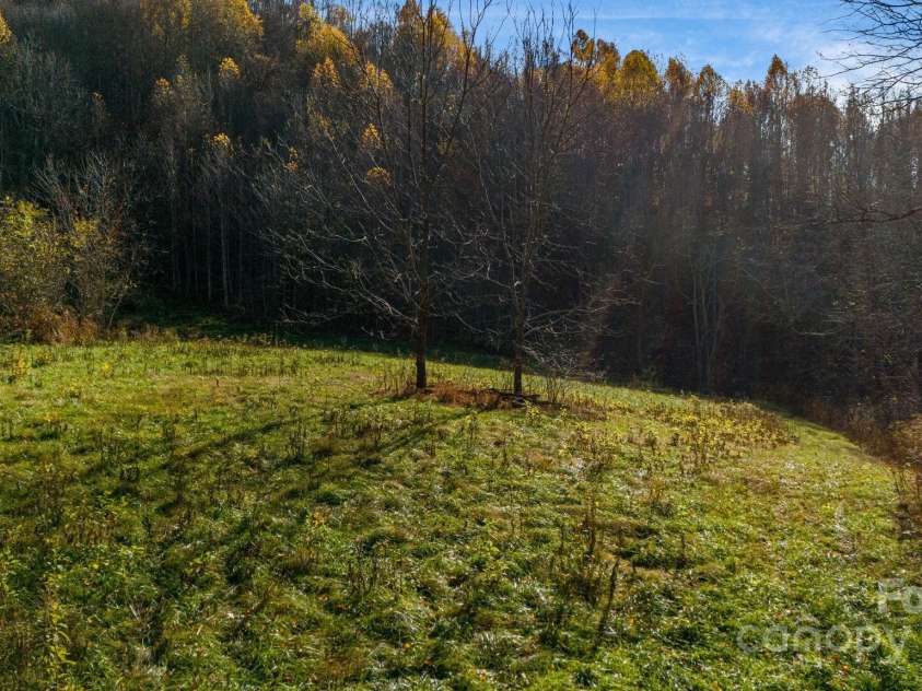 340 Wendy Avenue, Marshall, NC 28753.  MLS# CAR4210108, YatesRealty ID 7191. Middle pasture - so beautiful!