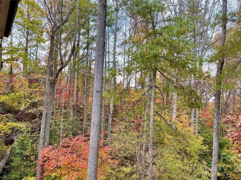 309 Sassafras Court, Lenoir, NC 28645.  MLS# CAR4316809, YatesRealty ID 7196. 