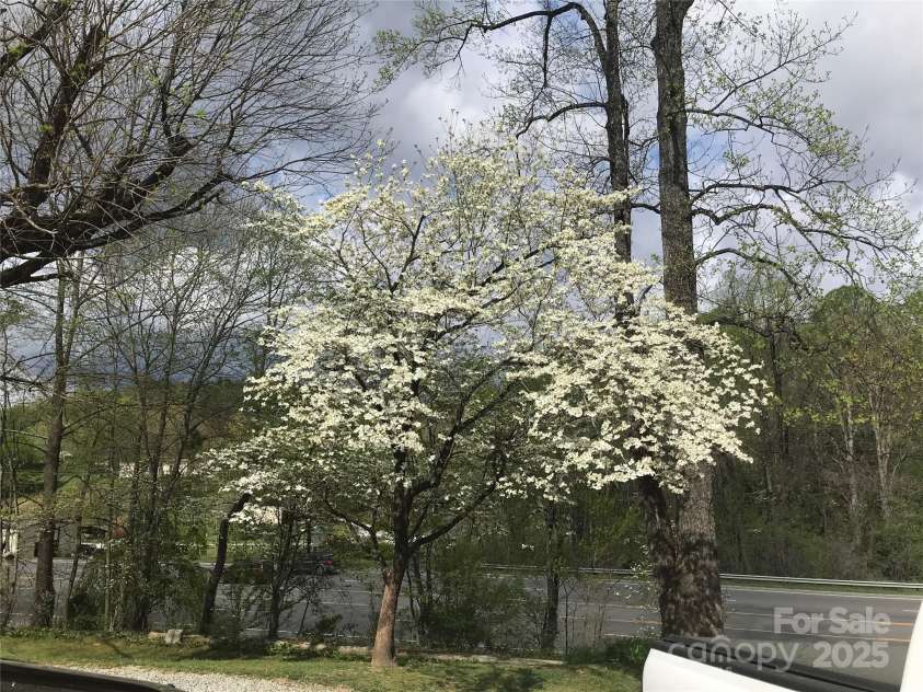 5398 US 221 Highway, Marion, NC 28752.  MLS# CAR4215873, YatesRealty ID 7249. 