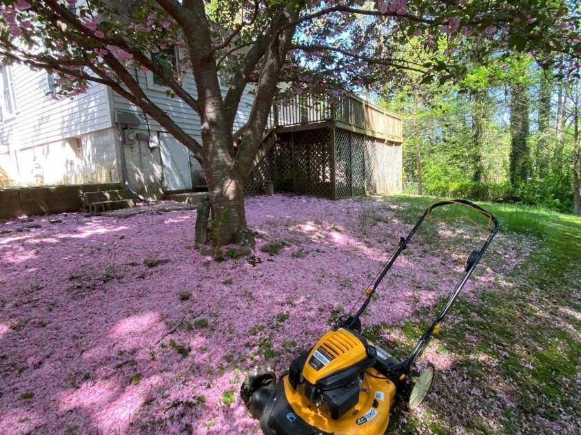 1812 Lower Ridgewood Boulevard, Hendersonville, NC 28791.  MLS# CAR4247847, YatesRealty ID 7258. Pre-storm spring splendor