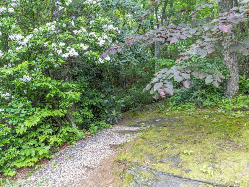6 Grouse Terrace, Fairview, NC 28730.  MLS# CAR4355853, YatesRealty ID 7286. Hiking anyone?