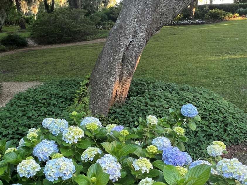 131 Pritchard Street, Bluffton, SC 29910.  MLS# CAR4214365, YatesRealty ID 7303. Extensive gardens to be enjoyed