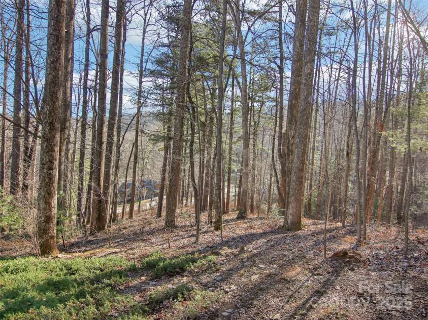 131 Falkirk Way, Zirconia, NC 28790.  MLS# CAR4224756, YatesRealty ID 7307. 
