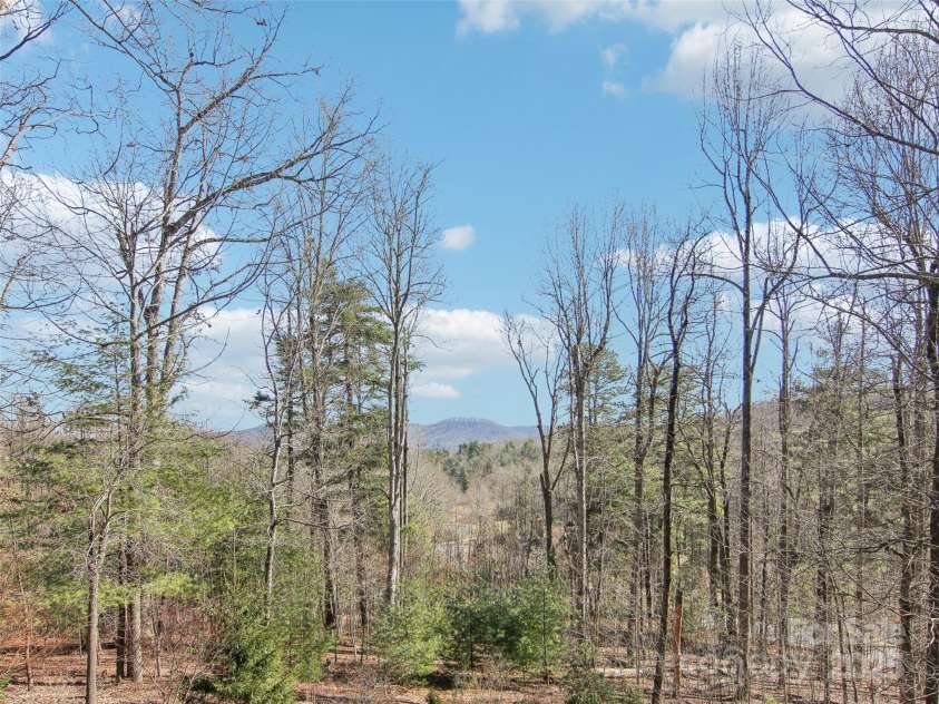 131 Falkirk Way, Zirconia, NC 28790.  MLS# CAR4224756, YatesRealty ID 7307. 