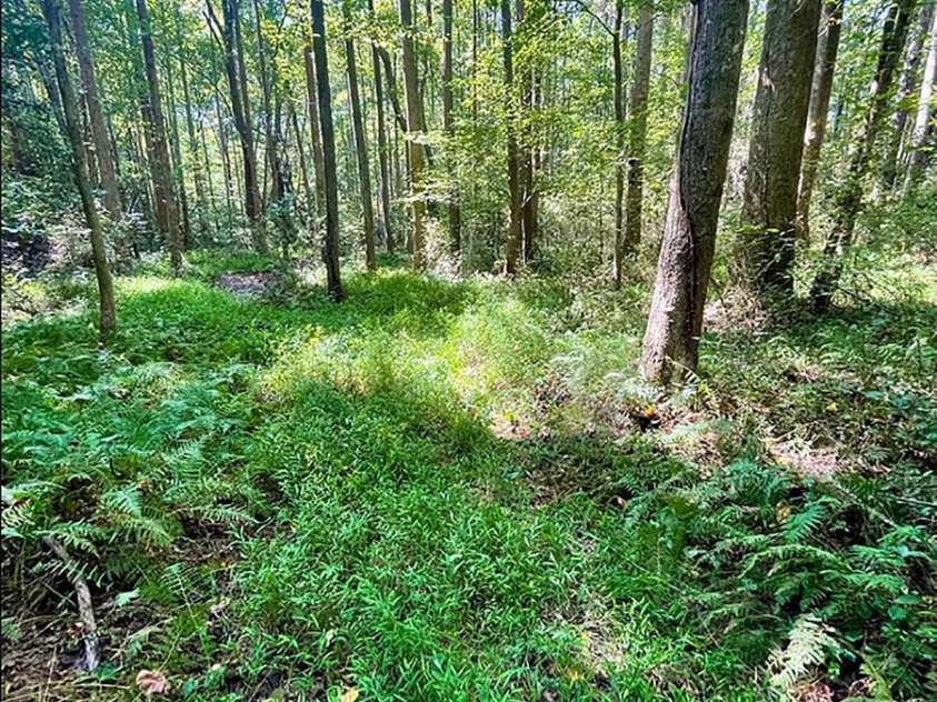 Lot 19 Knottywood Lane, Vale, NC 28168.  MLS# CAR4219767, YatesRealty ID 735. 