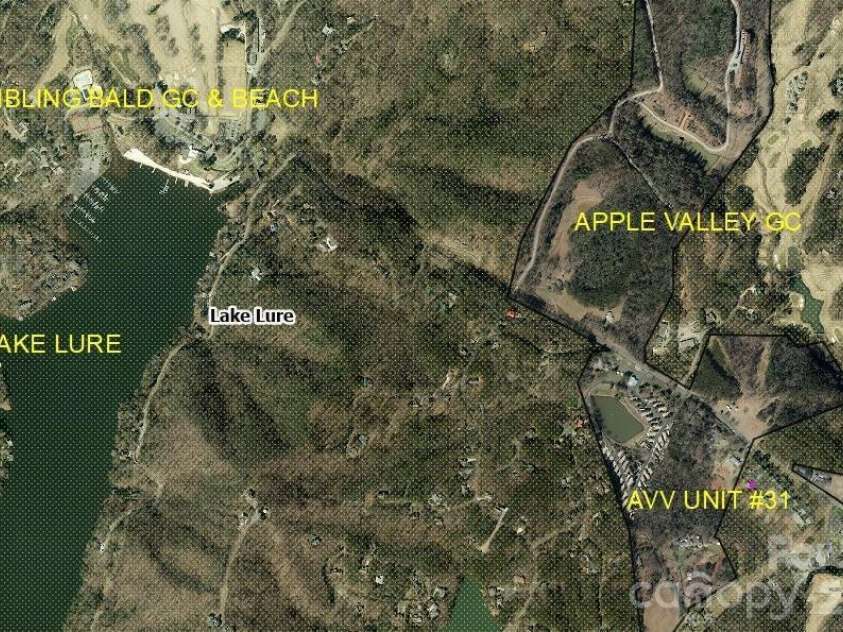 160 Whitney Boulevard, Lake Lure, NC 28746.  MLS# CAR4364801, YatesRealty ID 736. Aerial View