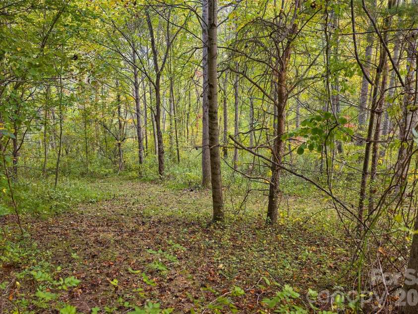 1087 Turkey Creek Road, Leicester, NC 28748.  MLS# CAR4358676, YatesRealty ID 7371. Additional building site