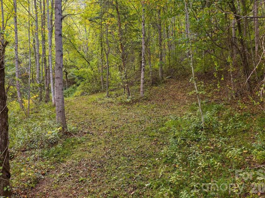 1087 Turkey Creek Road, Leicester, NC 28748.  MLS# CAR4358676, YatesRealty ID 7371. Additional building site